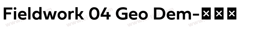 Fieldwork 04 Geo Dem字体转换 Fieldwork 04 Geo Dem字体转换